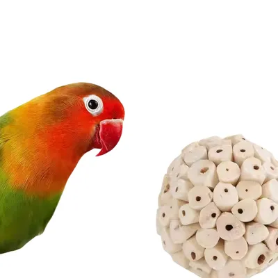 Direct Power boule d'herbe jouet oiseau