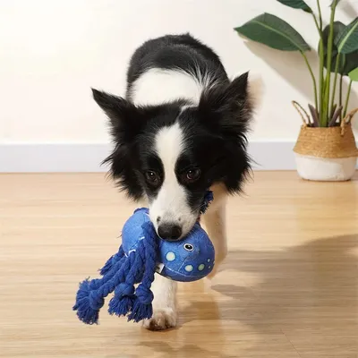 IntiMeg Jouet en peluche pour chien en forme de pieuvre
