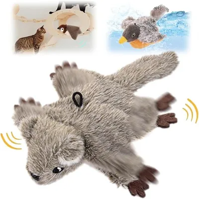 IntiMeg Jouet interactif pour chat