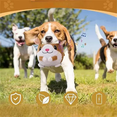 IntiMeg Jouet interactif en peluche pour chien