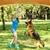 IntiMeg Jouet interactif en peluche pour chien