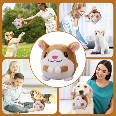 IntiMeg Jouet interactif en peluche pour chien
