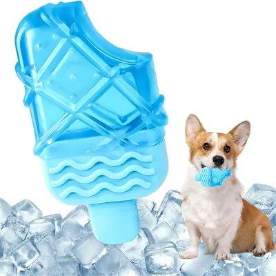 IntiMeg Jouets de Refroidissement pour Chiens