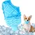 IntiMeg Jouets de Refroidissement pour Chiens
