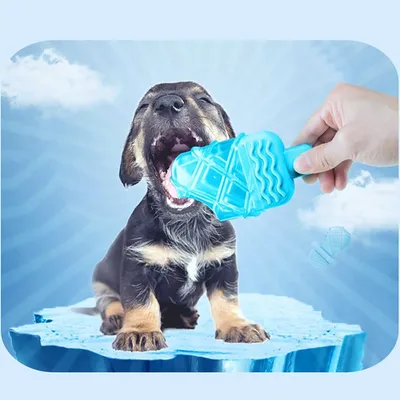 IntiMeg Juguetes refrescantes para perros
