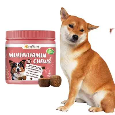 Direct Power Comprimés mous multi - vitamines pour chiens