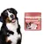 Direct Power Comprimés mous multi - vitamines pour chiens