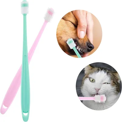 IntiMeg Brosses à dents 360° pour chiens et chats