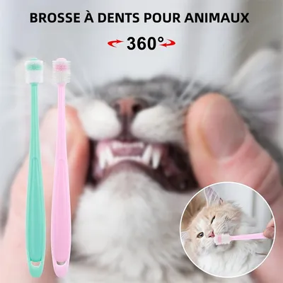 IntiMeg Brosses à dents 360° pour chiens et chats