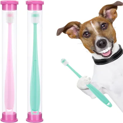 IntiMeg Brosses à dents 360° pour chiens et chats