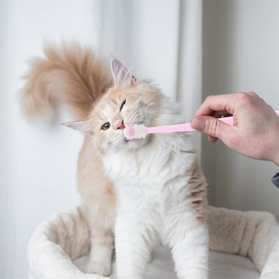 IntiMeg Cepillos de dientes de 360° para perros y gatos