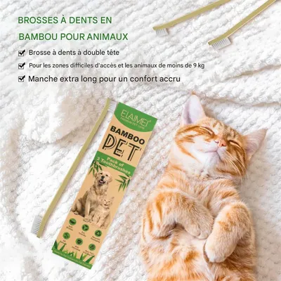 IntiMeg Brosse à dents pour animaux de compagnie avec manche en bambou