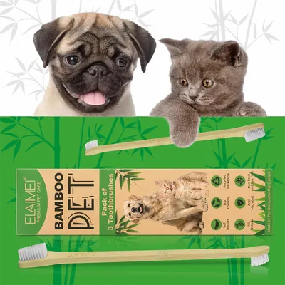 IntiMeg Brosse à dents pour animaux de compagnie avec manche en bambou