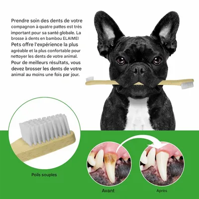 IntiMeg Brosse à dents pour animaux de compagnie avec manche en bambou