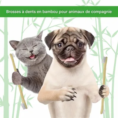 IntiMeg Brosse à dents pour animaux de compagnie avec manche en bambou
