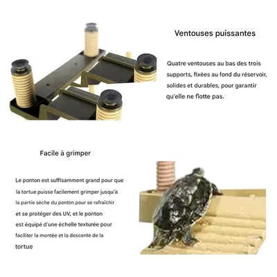 IntiMeg Plateforme Flottante pour Tortue