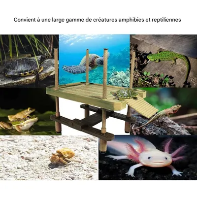 IntiMeg Plateforme Flottante pour Tortue