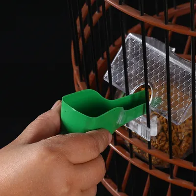 Direct Power Cuillère distributeur d'aliments et d'eau pour oiseaux