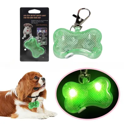IntiMeg Pendentif lumineux pour chien