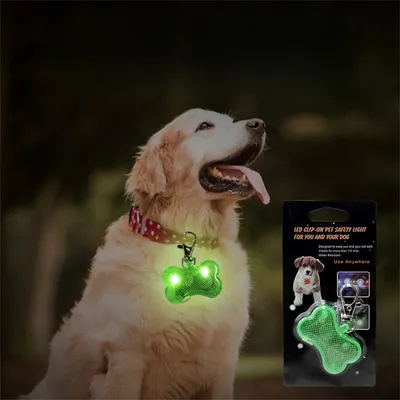 IntiMeg Pendentif lumineux pour chien