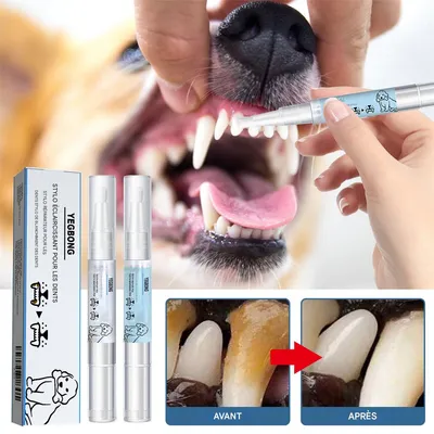 IntiMeg Lápiz blanqueador de dientes para mascotas