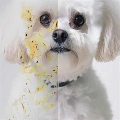 Direct Power Gants de nettoyage à puissance directe