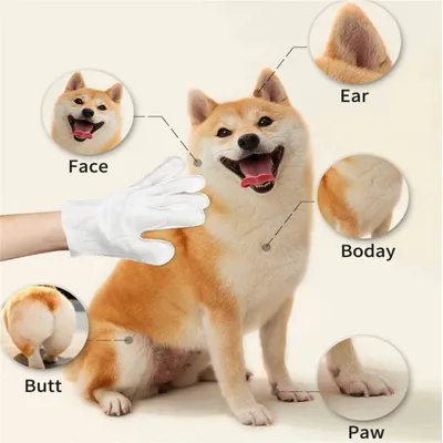 Direct Power Gants de nettoyage à puissance directe