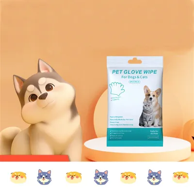 Direct Power Gants de nettoyage à puissance directe