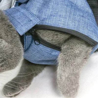 Direct Power Sac de transport grillagé pour chats