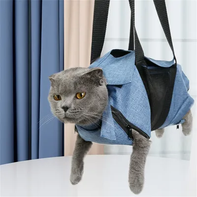 ZenPets Direct Power Sac de transport grillagé pour chats