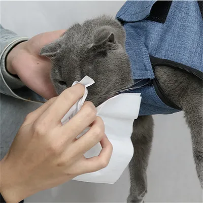 Direct Power Sac de transport grillagé pour chats
