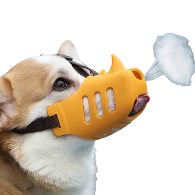 Direct Power Muselière pour chien