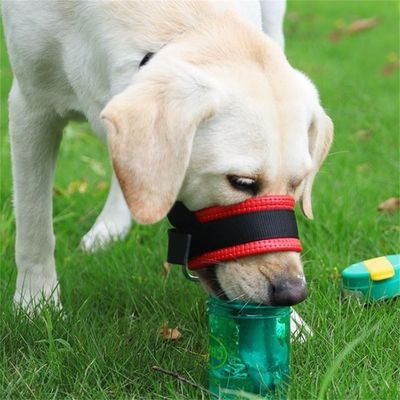 IntiMeg Muzzle pour chiens, anti - morsure et anti - ingestion.