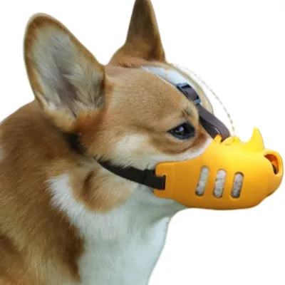 Direct Power Muselière pour chien