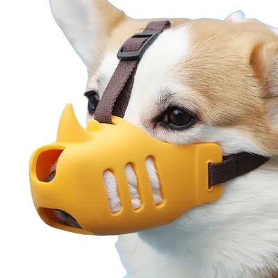 Direct Power Muselière pour chien