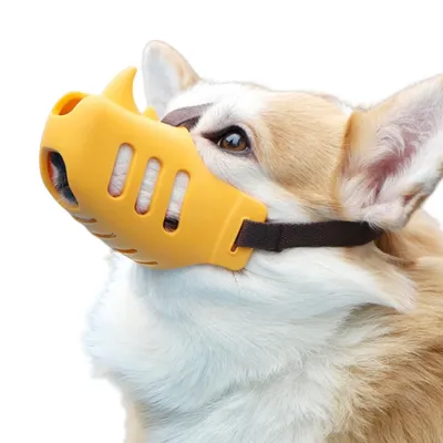 Direct Power Muselière pour chien