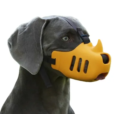 Direct Power Muselière pour chien