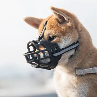 IntiMeg Muselière pour chien