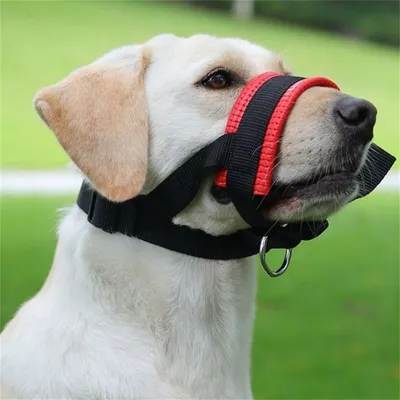 IntiMeg Muzzle pour chiens, anti - morsure et anti - ingestion. IntiMeg Muzzle pour chiens, anti - morsure et anti - ingestion.