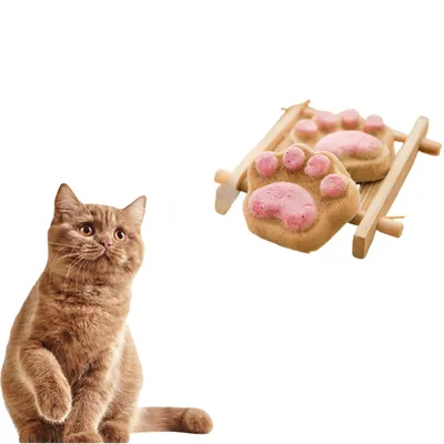 Direct Power Biscuits patte de chat
