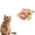 Direct Power Biscuits patte de chat Direct Power Biscuits patte de chat
