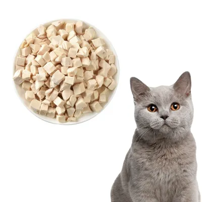 Direct Power Grains de poulet lyophilisés, collation pour chat