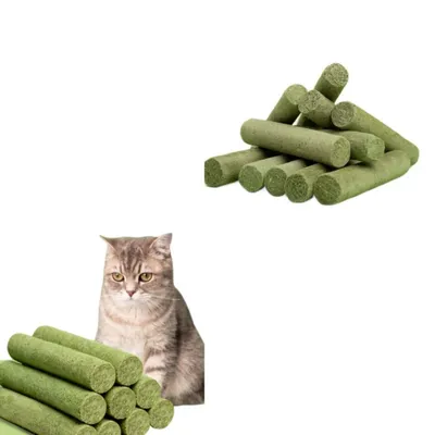 Direct Power Barre de grignotage pour chat au catnip lyophilisé