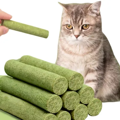Direct Power Barre de grignotage pour chat au catnip lyophilisé