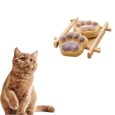 Direct Power Biscuits patte de chat