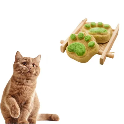 Direct Power Biscuits patte de chat