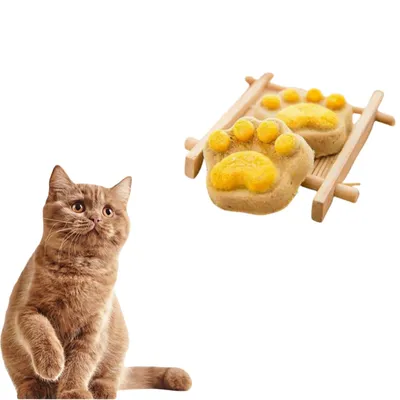 Direct Power Biscuits patte de chat