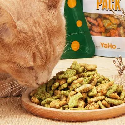 Direct Power Biscuits à la menthe pour chats