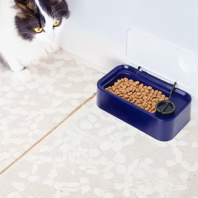 WellHome Bol en plastique