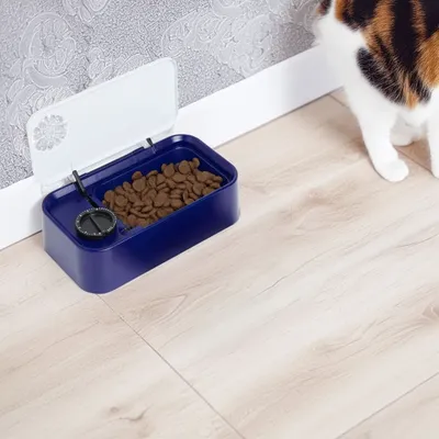 WellHome Bol en plastique